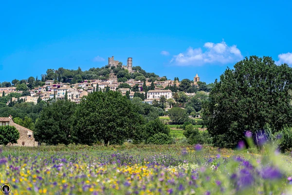 Photographie aérienne ou paysagère de Grimaud dans le Var, montrant le village provençal avec ses caractéristiques architecturales typiques (toitures rouges, ruelles étroites, château médiéval ou mairie locale) et l'environnement naturel environnant (collines, végétation méditerranéenne, forêt). L'image doit être nette, professionnelle, prise en lumière naturelle de jour, sans texte, logo ou filigrane visible, et clairement distinctive des vues côtières de Saint-Tropez et Sainte-Maxime déjà utilisées dans la section.